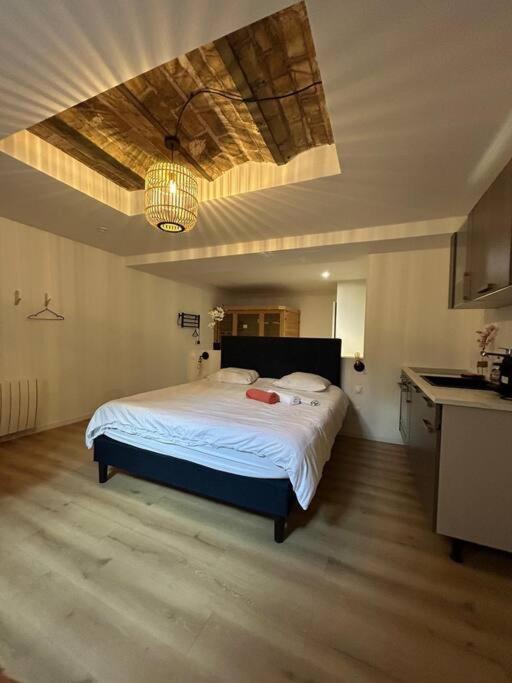 Cellar- Appartement Sous-Sol Atypique 兰斯 外观 照片